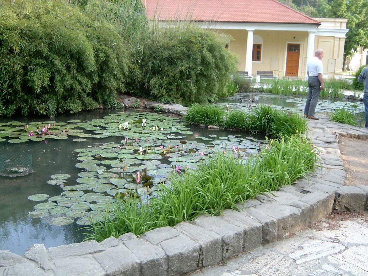 Dobre Ubytovanie Piest'any Esterno foto